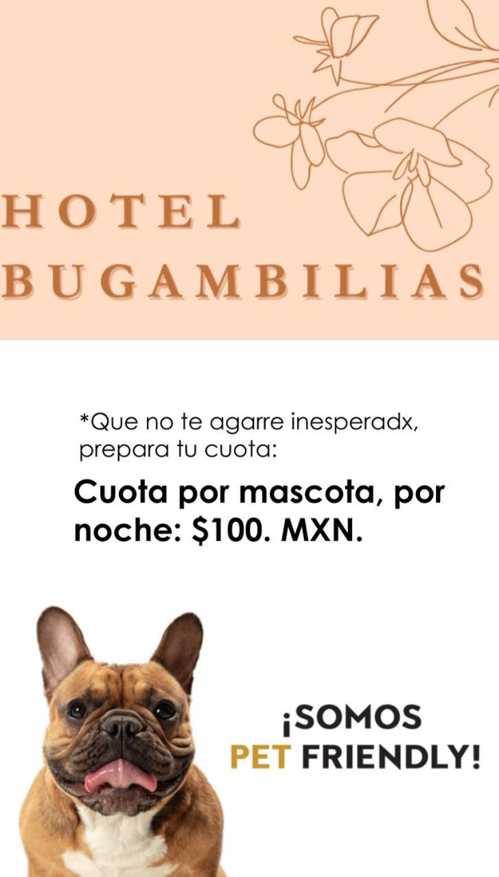 Hotel Bugambilia Oaxaca Esterno foto